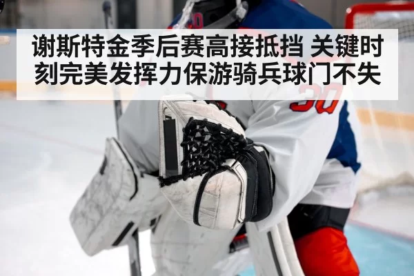 谢斯特金季后赛高接抵挡 关键时刻完美发挥力保游骑兵球门不失